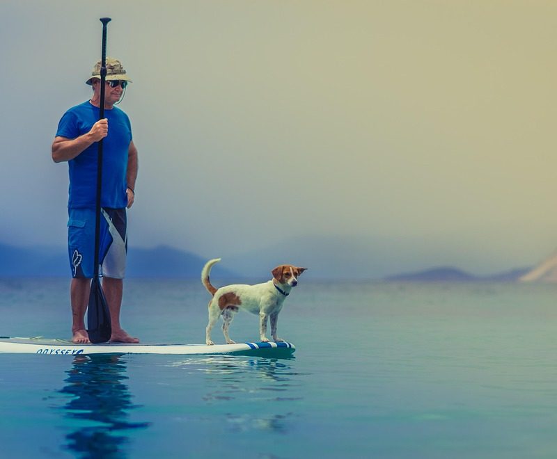 paddle équilibre avec chien